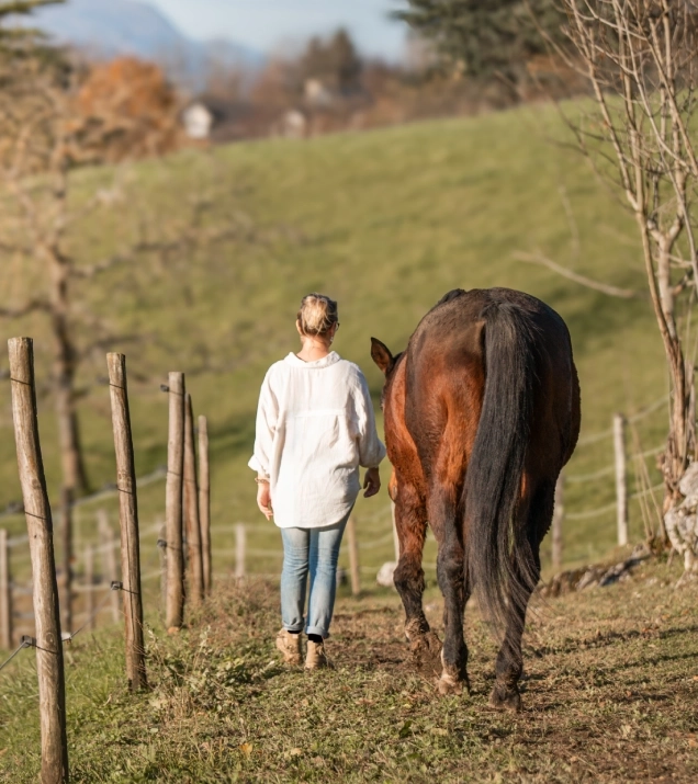 La communication animale partout en France